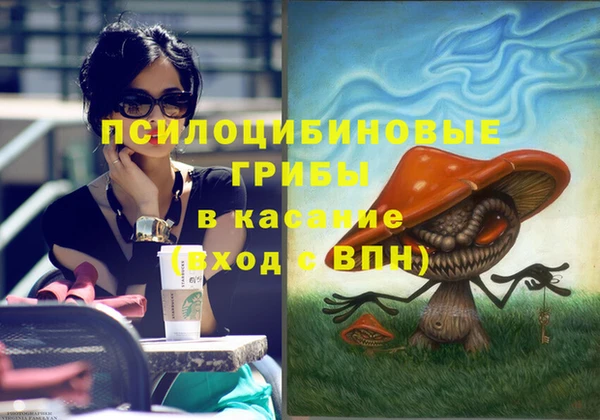 мескалин Покачи
