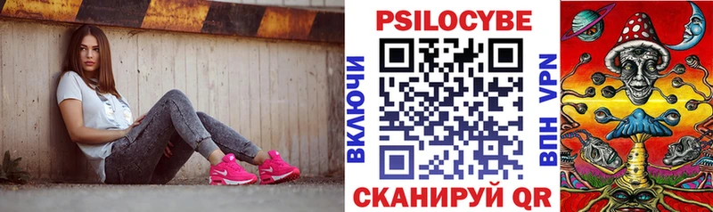 дарнет шоп  Сычёвка  Галлюциногенные грибы мухоморы 