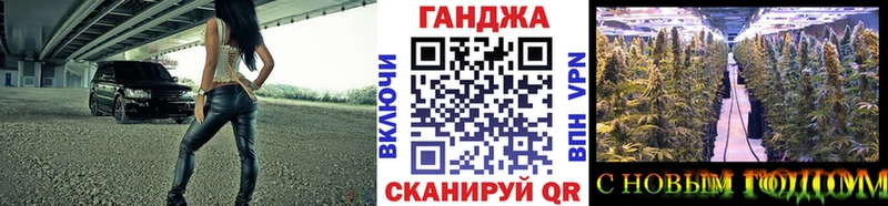Канабис индика  закладки  Сычёвка 